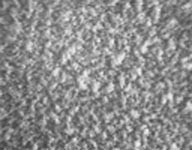 Рис. 9. Фотографии текстуры носителей: а — бумага для документов; б — фотобумага; в — матовая бумага