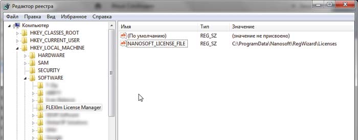 Рис. 3. Переменная NANOSOFT_LICENSE_FILE из реестра Windows хранит путь, по которому располагаются файлы лицензий для программных продуктов ЗАО «Нанософт»