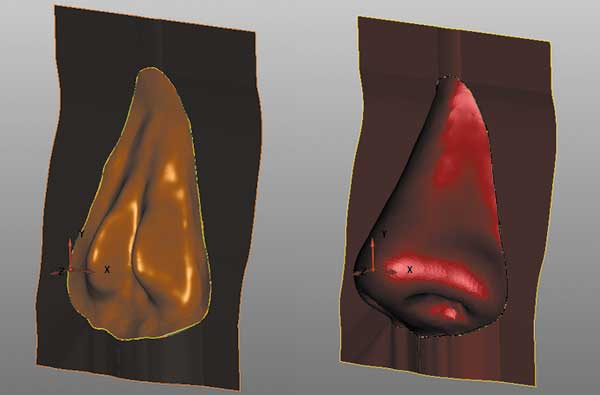 Рис. 9. Внутренняя и наружная части формообразующих поверхностей пресс-формы восковки протеза носа