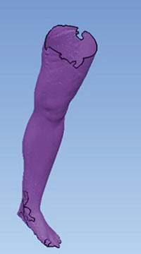 Рис. 2. Полученная модель ноги