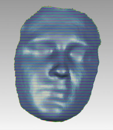 Рис. 2. Компьютерные 3D-модели лица, полученные разными сканерами: а — Kinect for Windows; б — Artec MHT