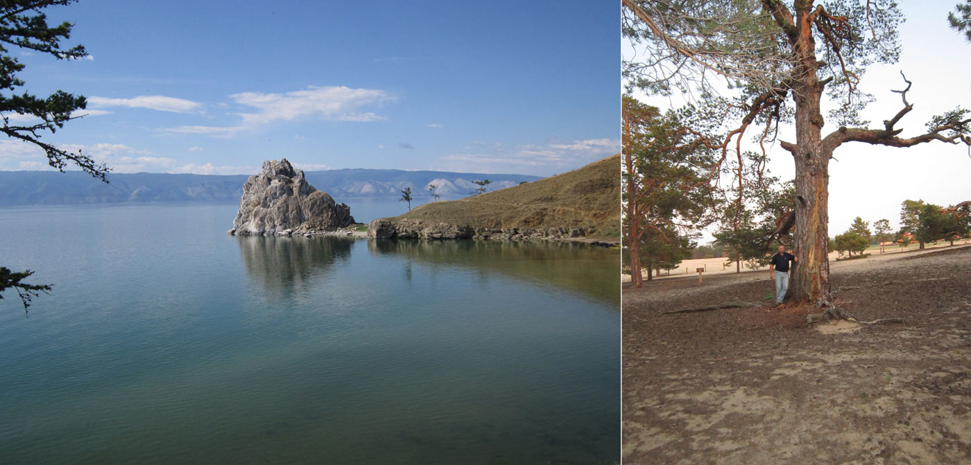 Одна из достопримечательностей острова Ольхон — скала Шаманка, 
вдали виден «материковый» берег Байкала (слева); сосна, которой 470 лет