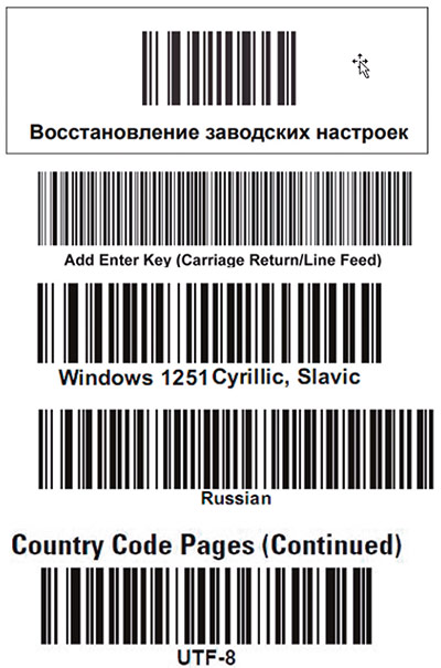 Рис. 10. Настройка чтения символов кириллицы