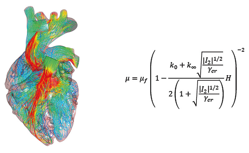 Рис. 8. Моделирование живого сердца и уравнение вязкости по модели Куемады